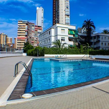 Caballos Premium 16-f Levante *