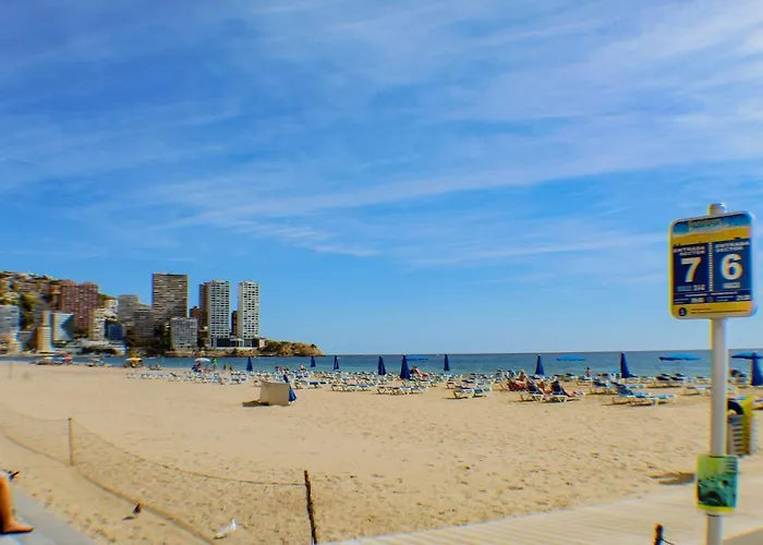 Caballos Premium 16-f Levante