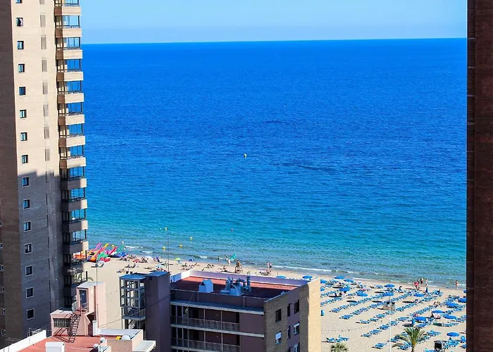 Caballos Premium 16-f Levante Benidorm