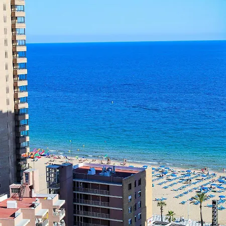 Caballos Premium 16-f Levante Benidorm