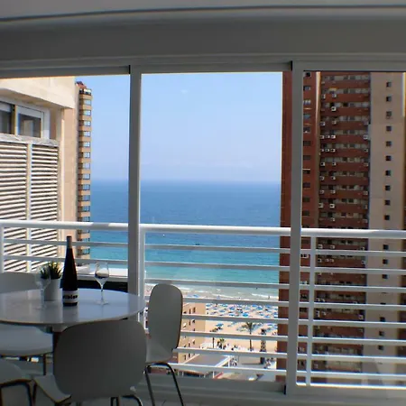 Caballos Premium 16-f Levante *